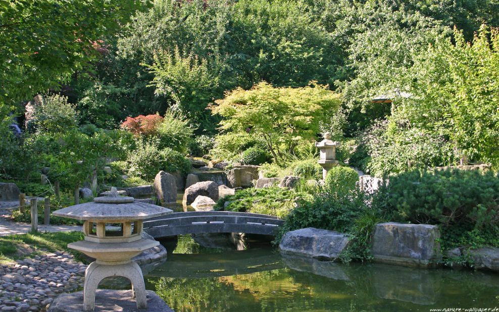 Ландшафтный пейзажный сад Японии