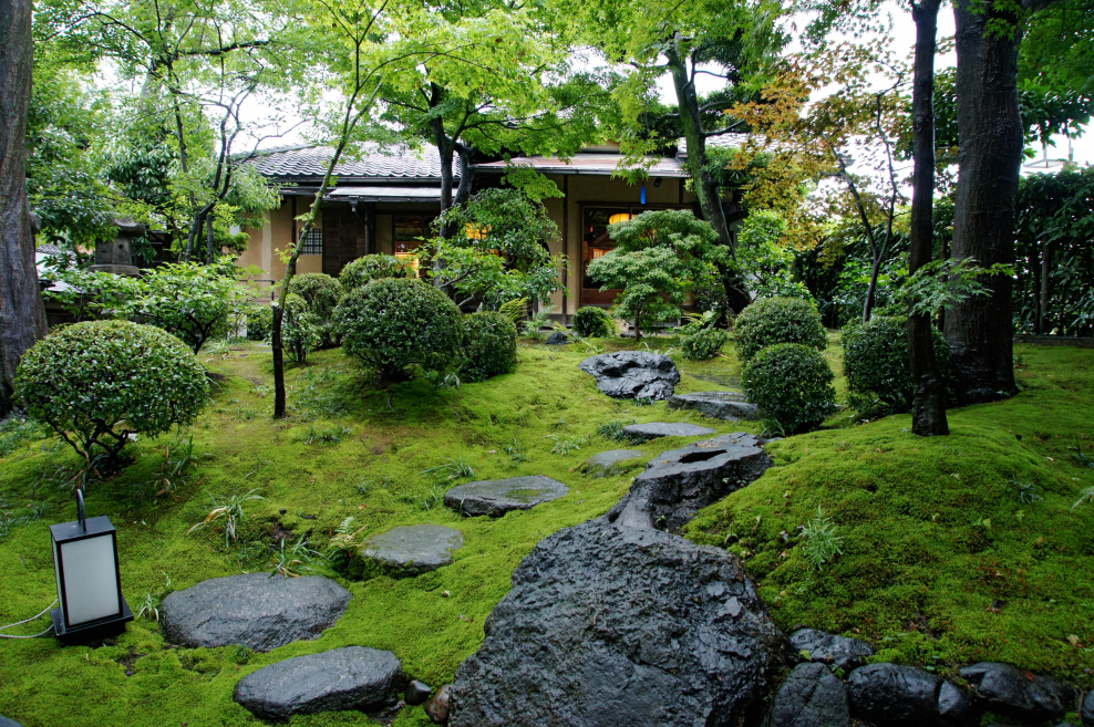 Чайный сад Тянива