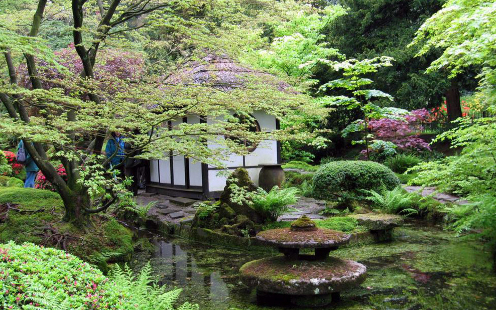 Сад дзедо Япония