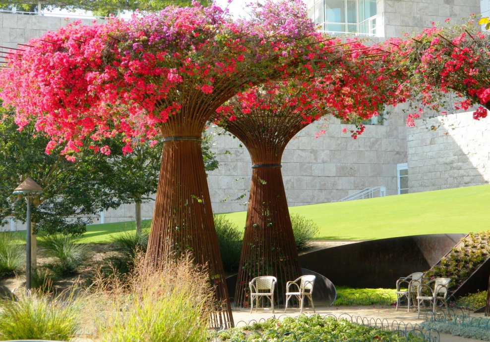 Пергола в тенистом саду