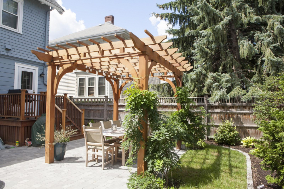 Пергола увитая растениями