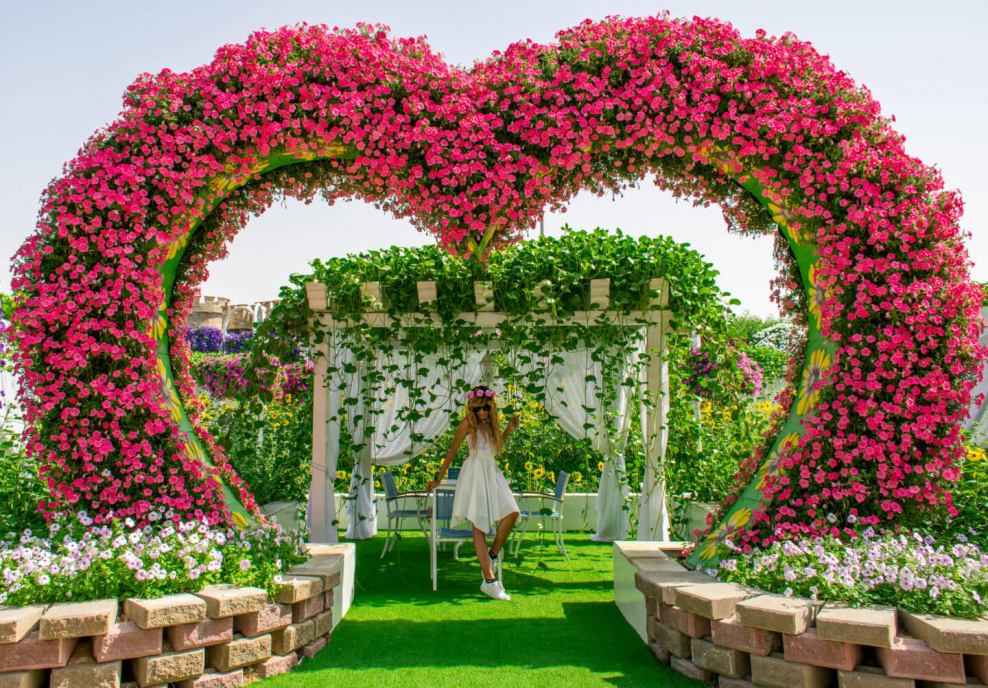 Арка увитая вьющимися растениями