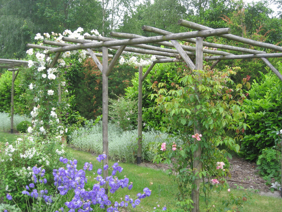 Арка Садовая пергола Розария