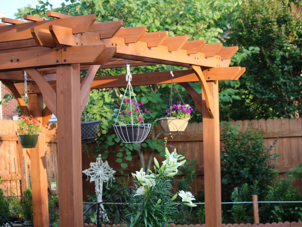 Пионы в ландшафте