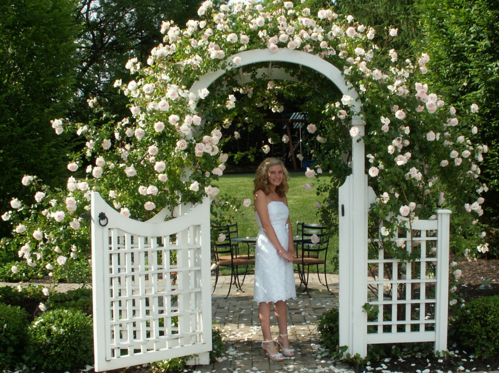 Малые архитектурные формы арка