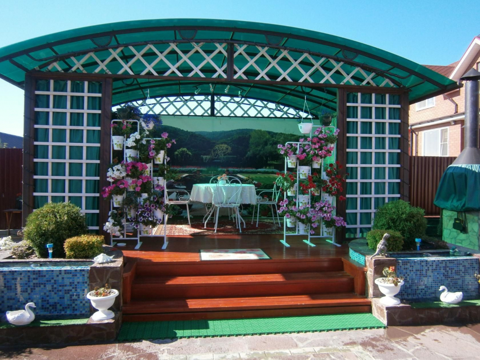 Глициния на перголе