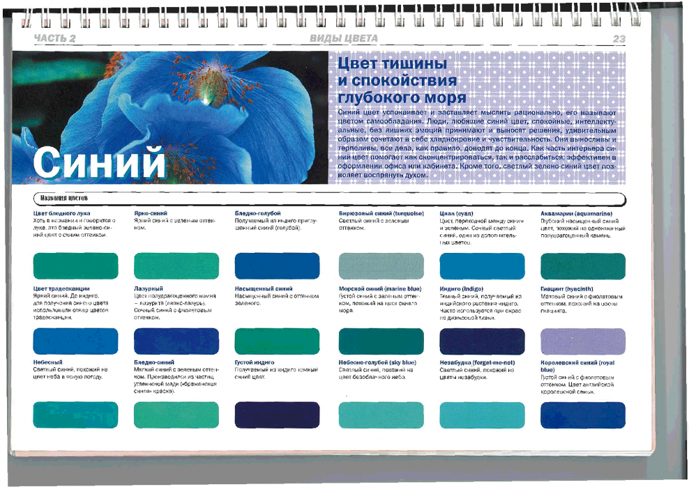 Бирюзовые оттенки названия цветов