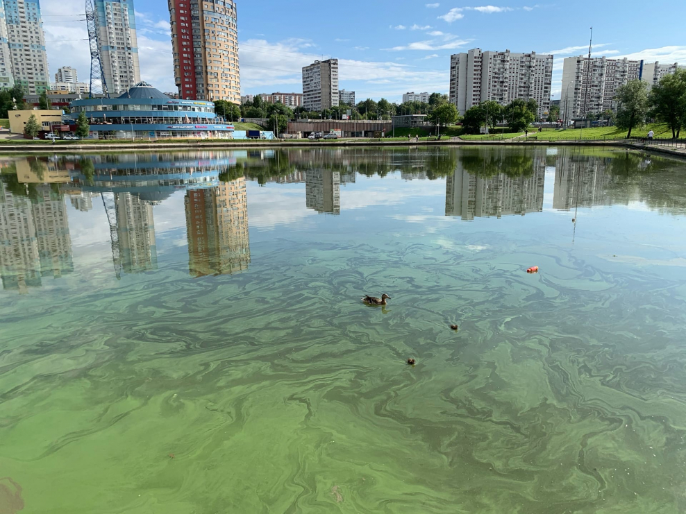 Колпакова 30б