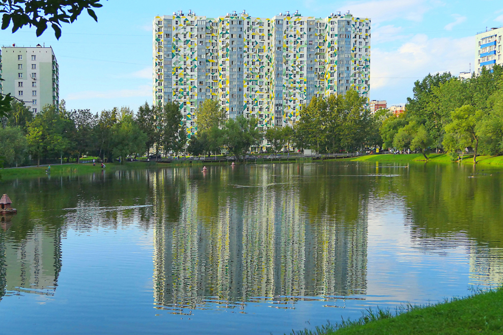 Водоем Мытищ куча