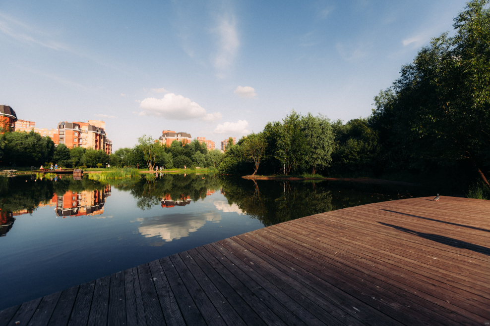 Парк в Плесе с прудом