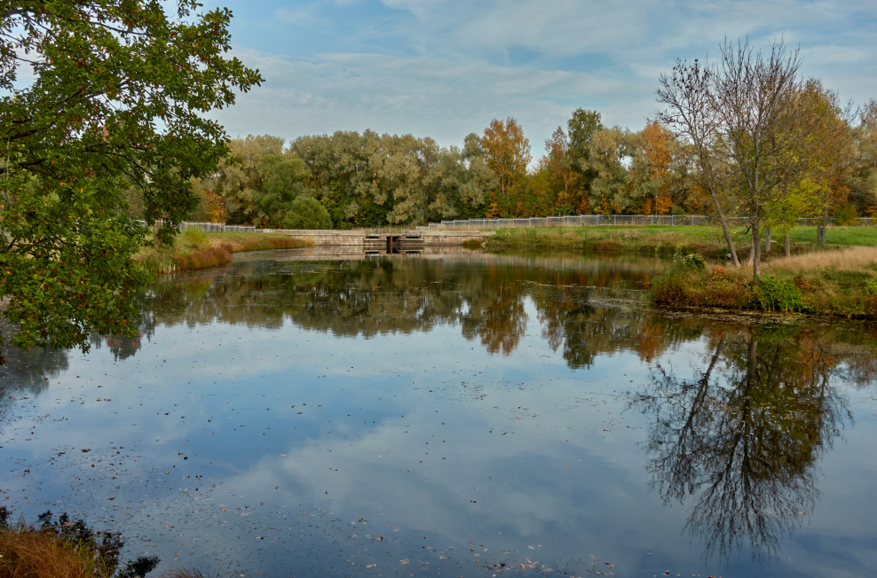 Реутов городской пруд