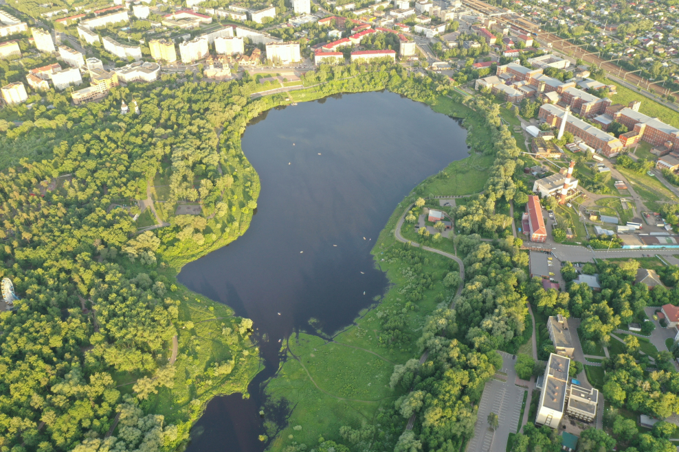 Воронцовский парк пруд пруд с кувшинками