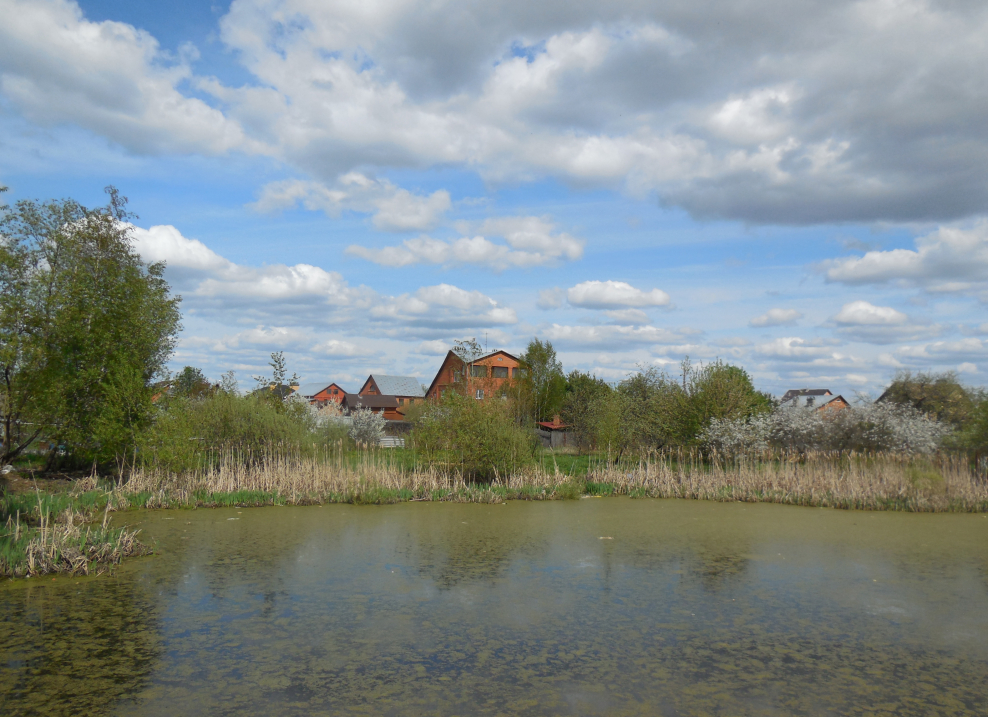 Бабаевский пруд Бологое