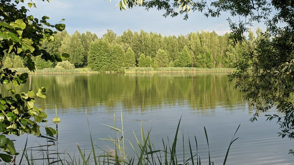 Достопримечательности Рязановского поселения