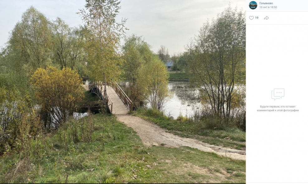 Ива ломкая в Нарышкинском пруду