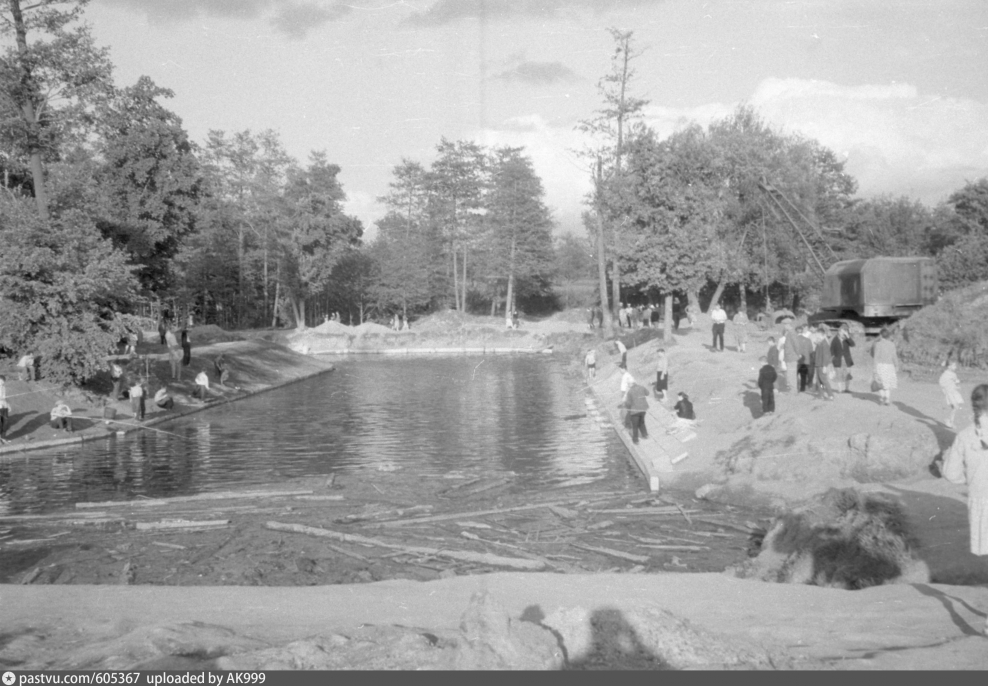 Озеро Чайка Раменское