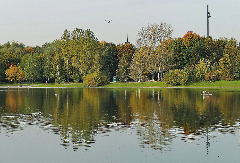 Парк Новодевичьи пруды Москва