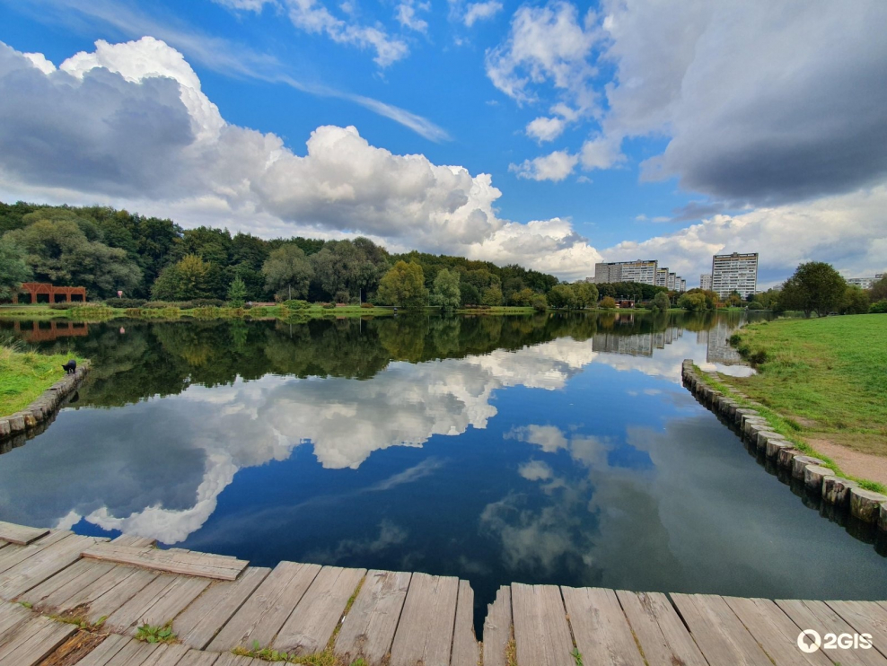 Шибаевский пруд Москва
