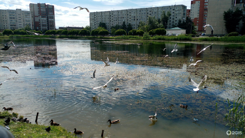 Деревня малые пруды