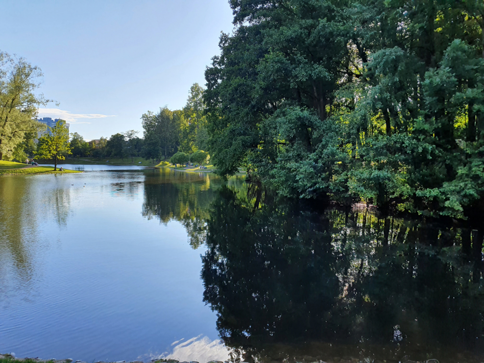 Речка в Долгопрудном