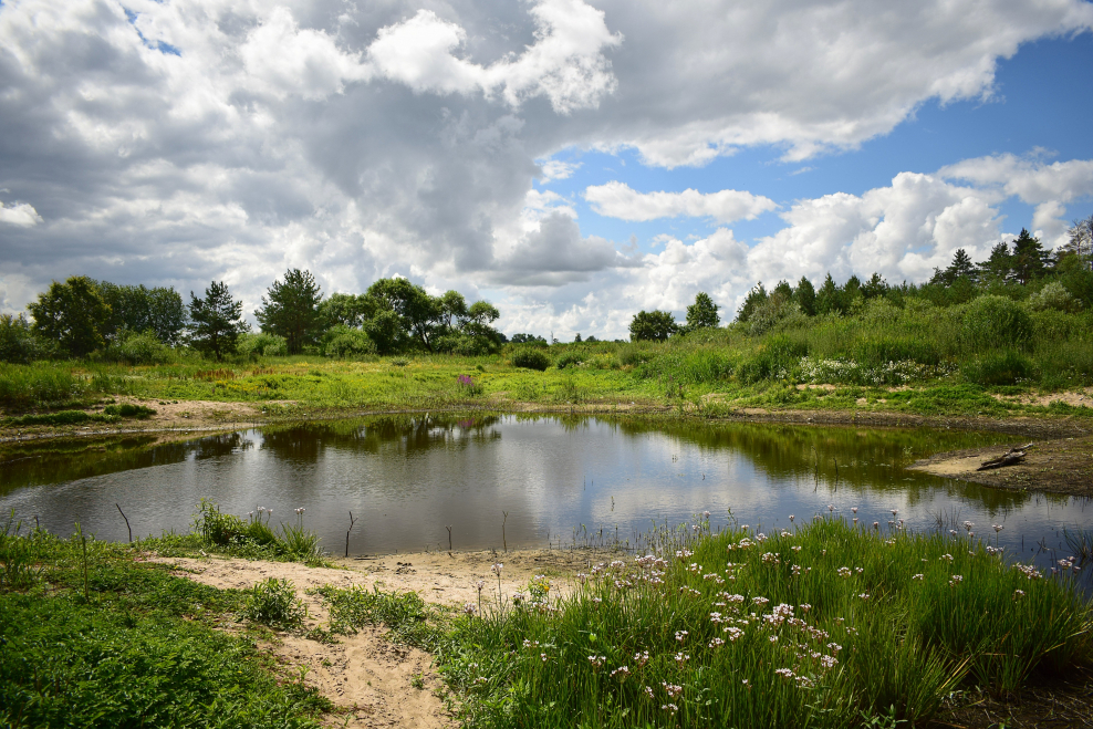 РГАУ МСХА Тимирязева пруды