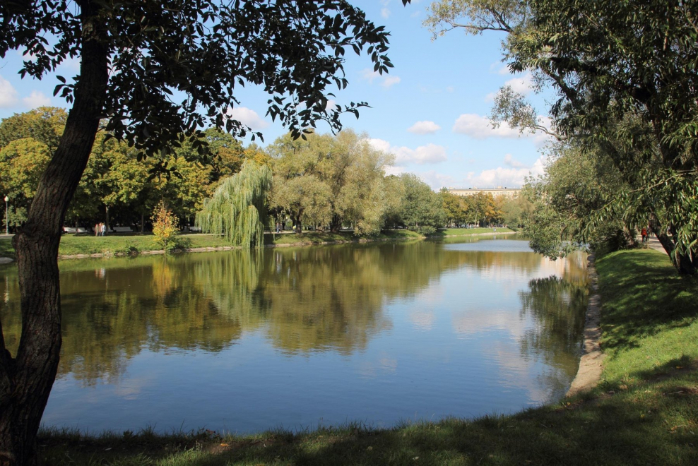 Бабаевский пруд в Гольяново весь