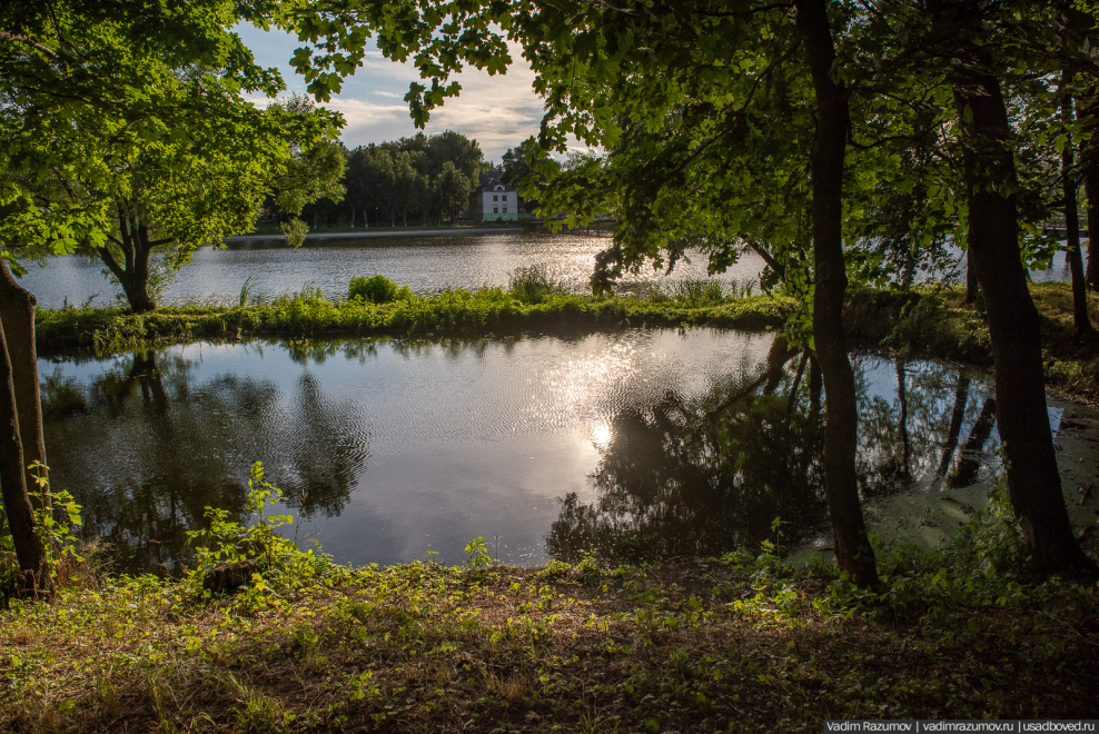 Пруд Южный Тюмень