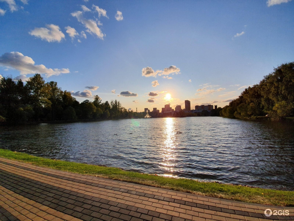 Куркино парк с прудом