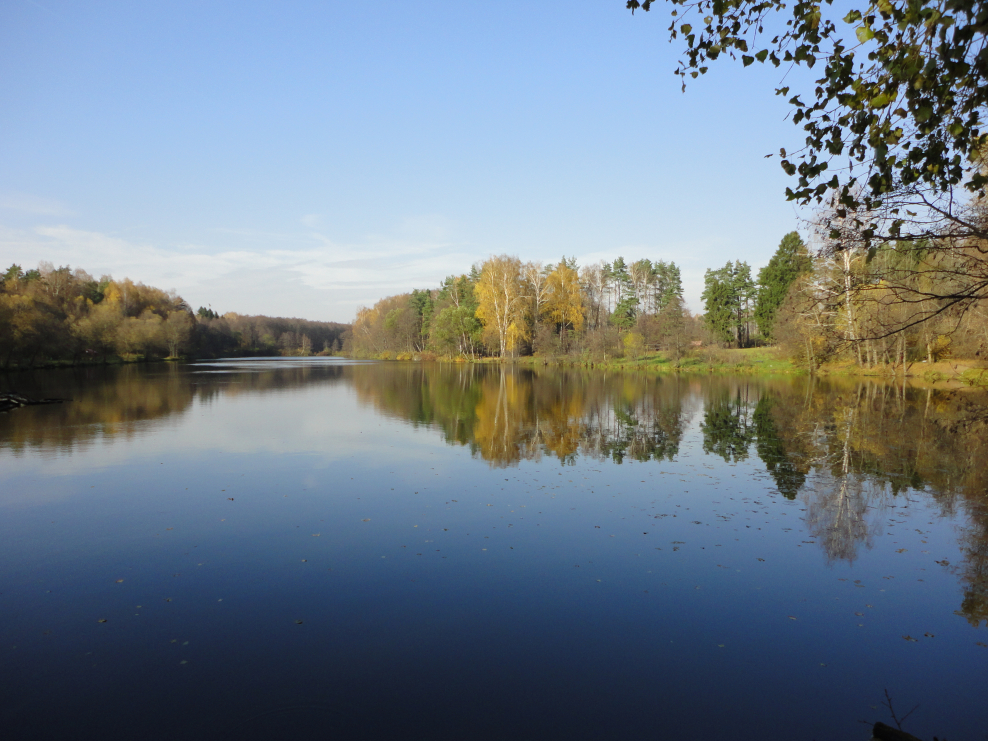 Инград Мытищи новое Медведково