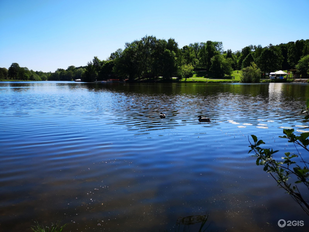 Кащенко пруд горки