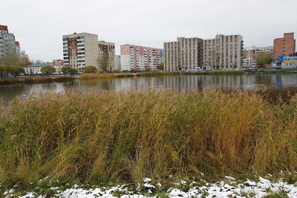 Ферменский пруд Парголово