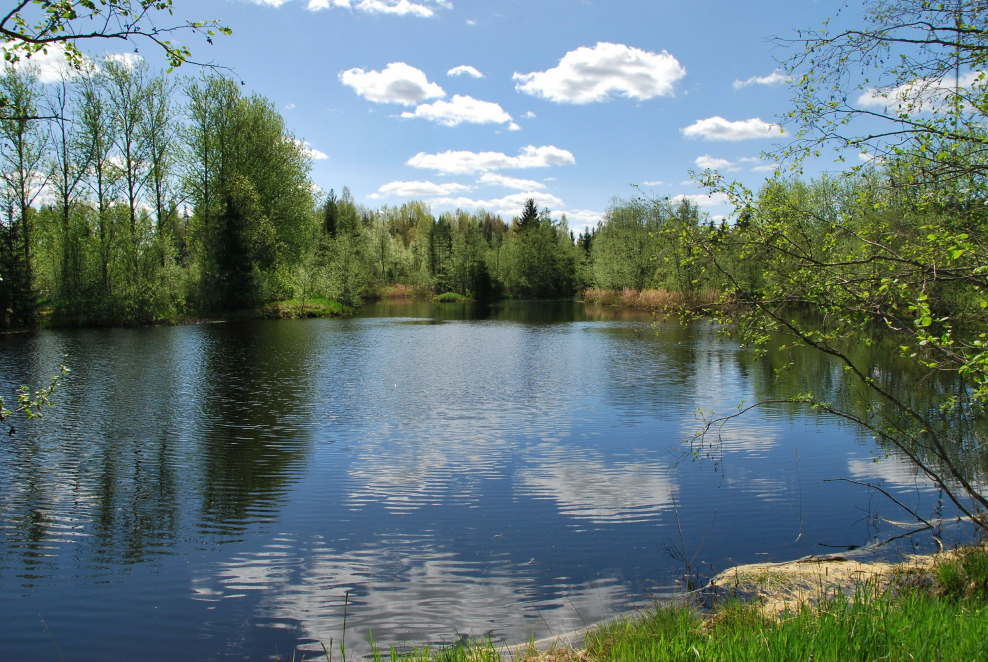 Озеро Кудаутки Томск