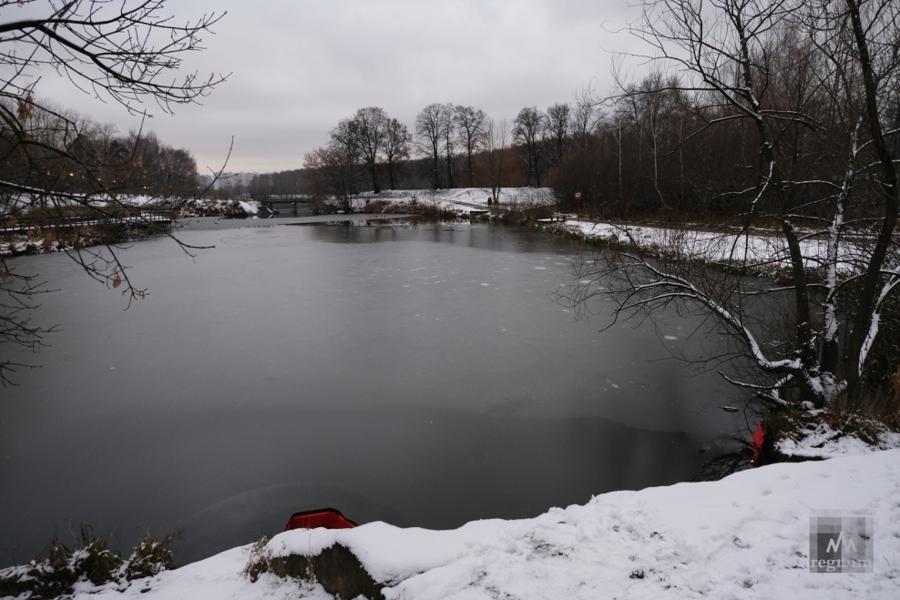 Форносово водоем