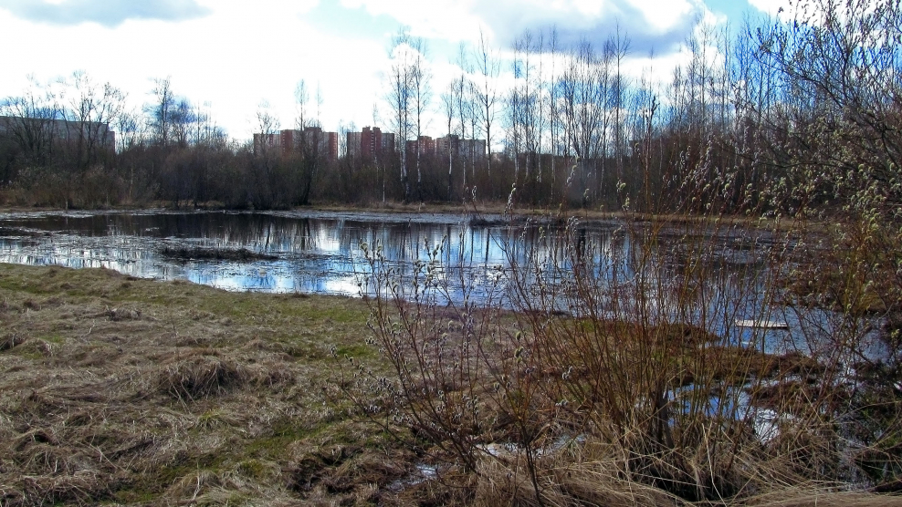 Академический пруд Москва