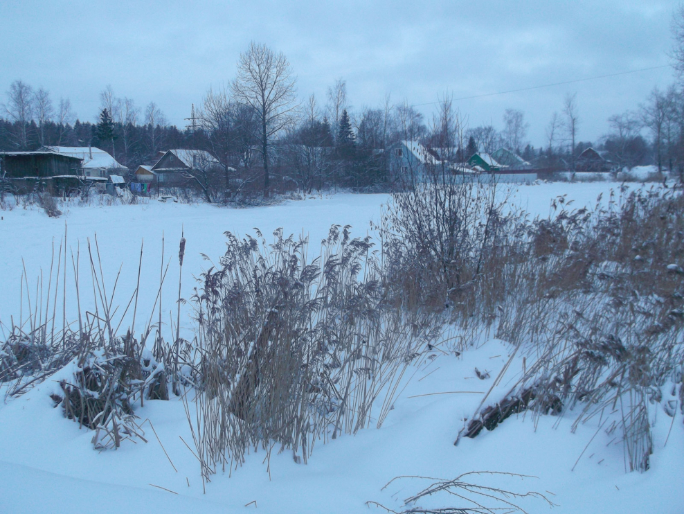 Турбаза Снегири Московская область