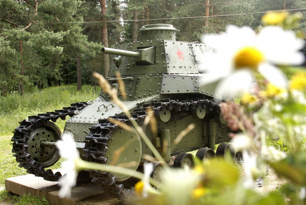 Снегири коттеджный поселок во Владимире