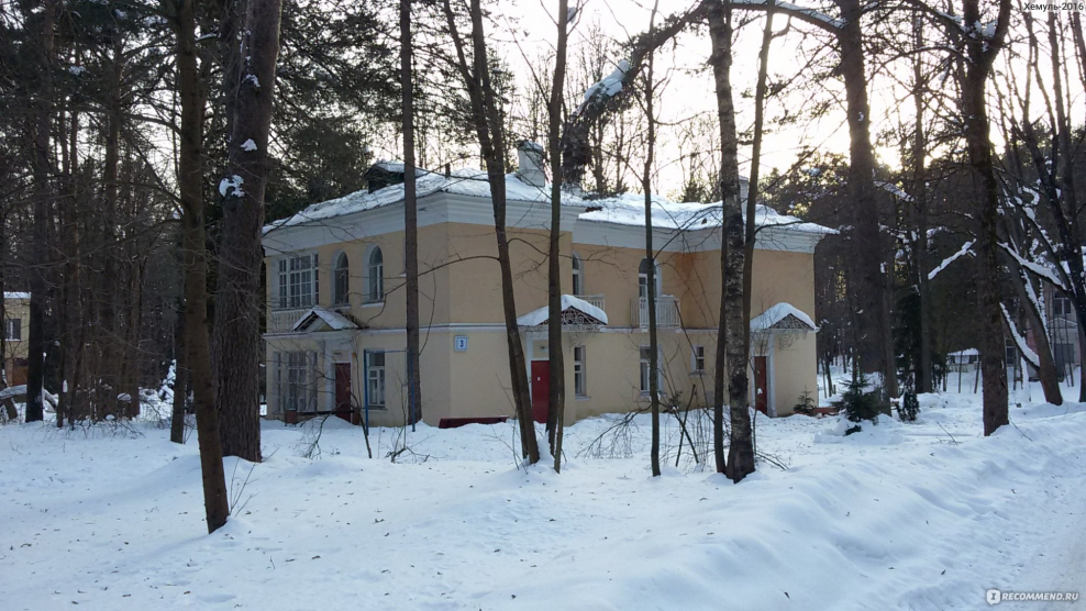 Снегири Елец реставрация