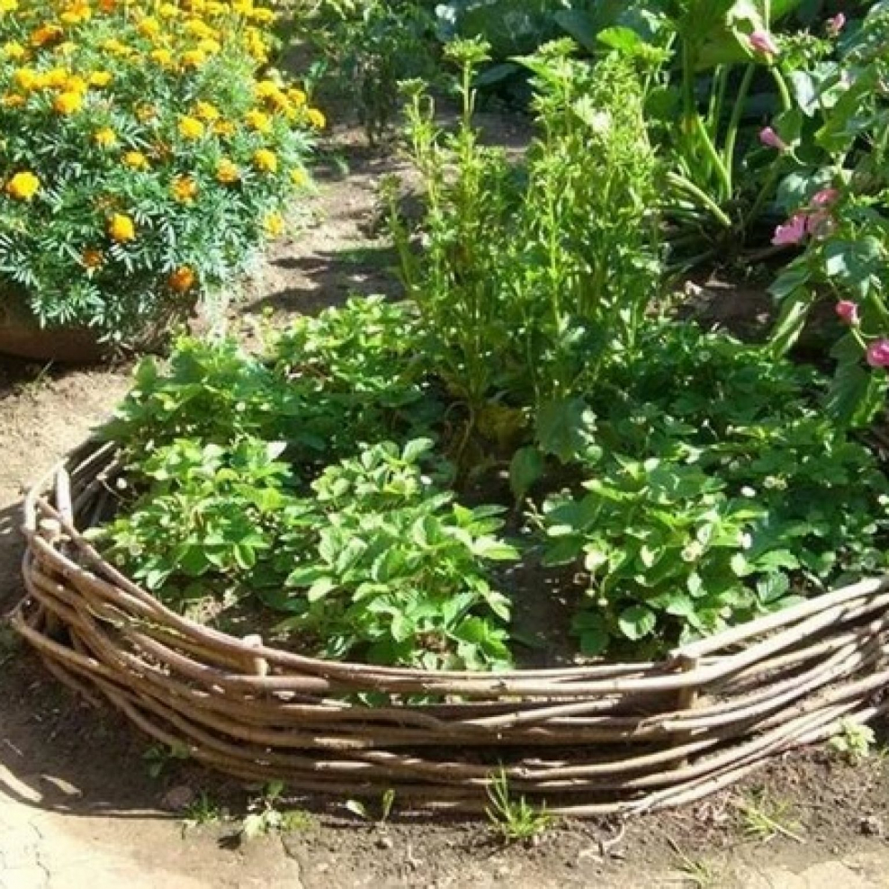 Бордюр для грядок и цветников