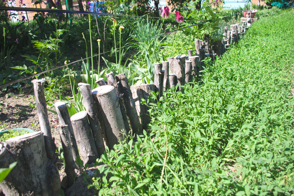 Бордюры для клумб из палок