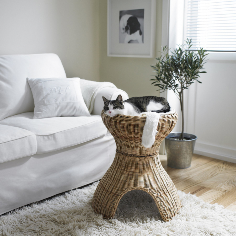 Кошачья лежанка в интерьере