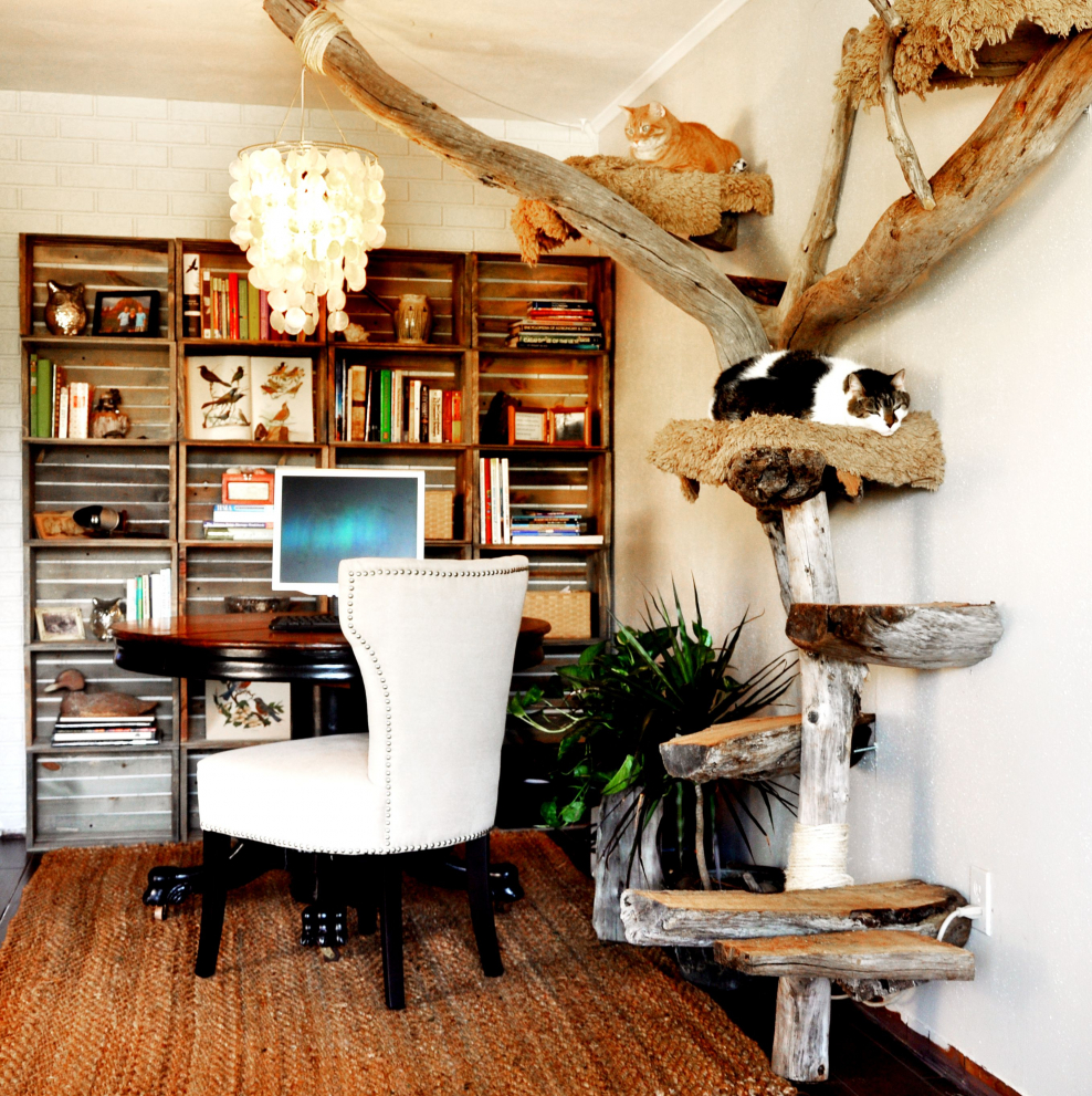 Кошачьи домики в интерьере