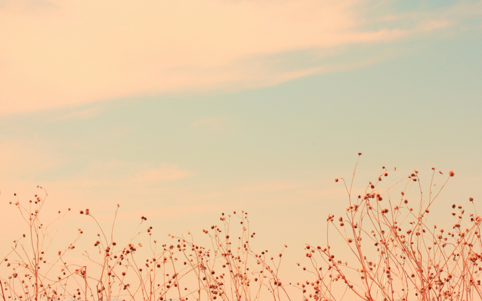 Фон пастельные тона