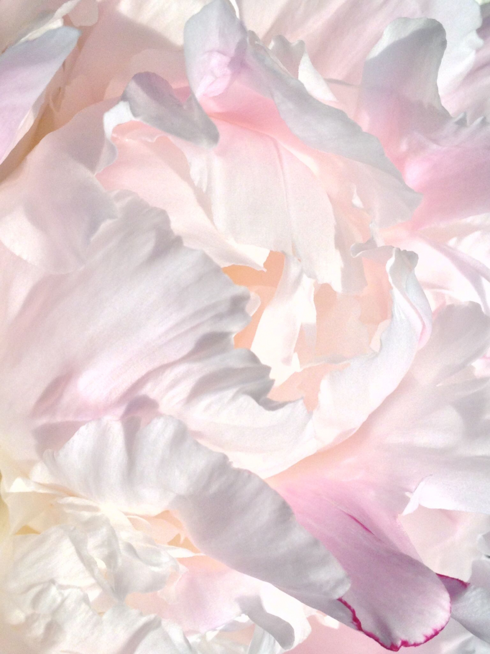 Абстракция в пастельных тонах