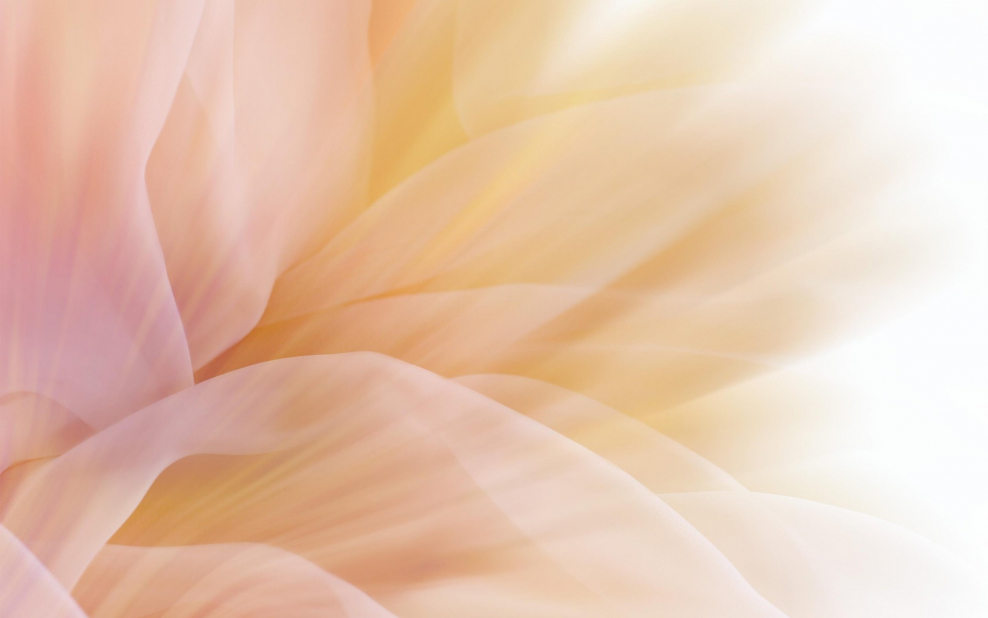 Фон бежевый нежный