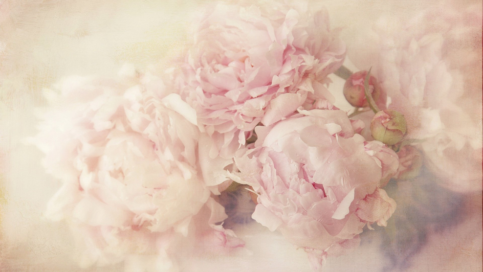 Цветы в пастельных тонах