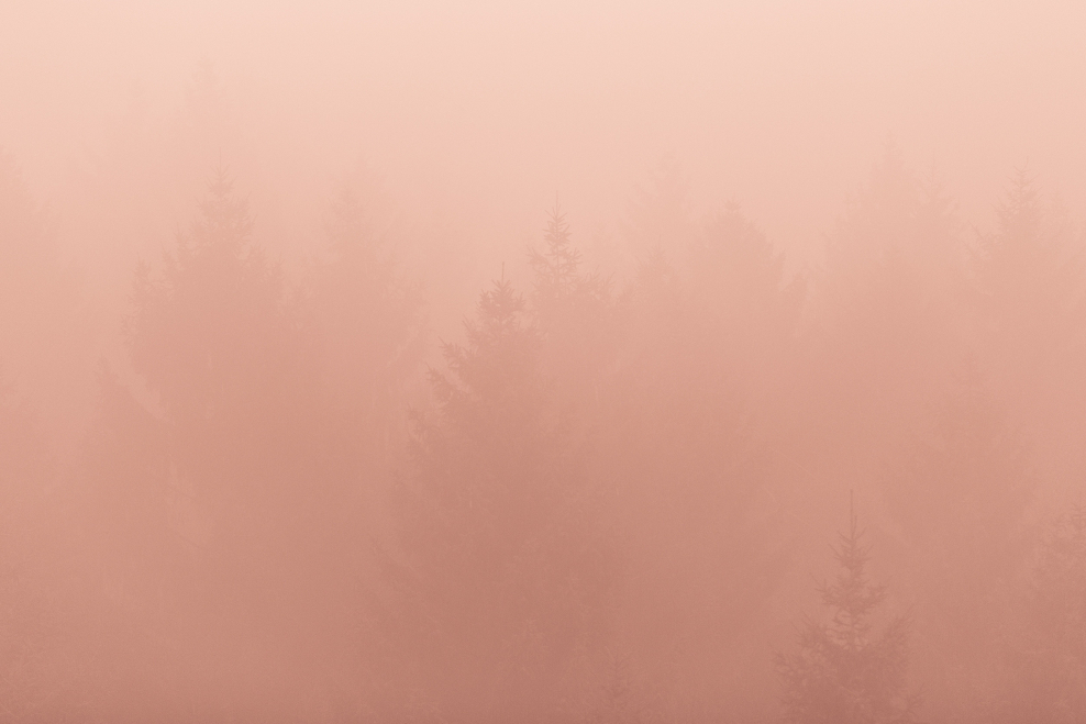 Нюдовые фоны