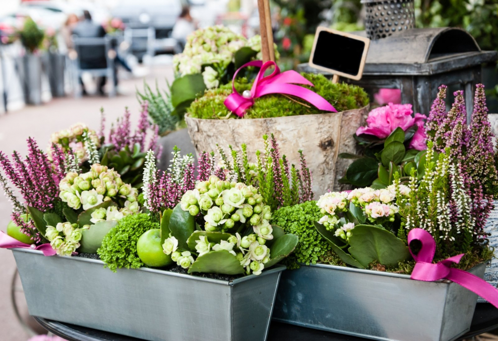 Цветочные композиции в ящиках для улицы