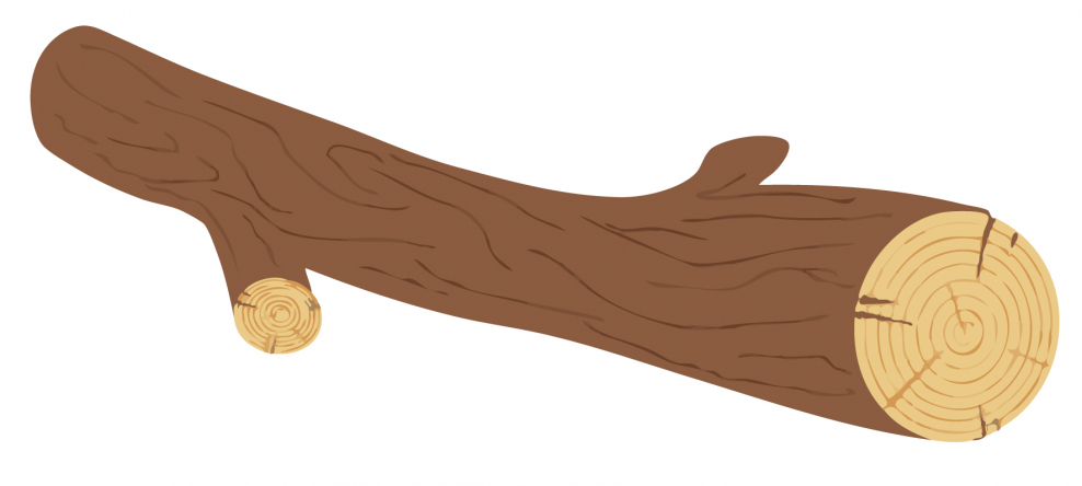 Тонкое бревно