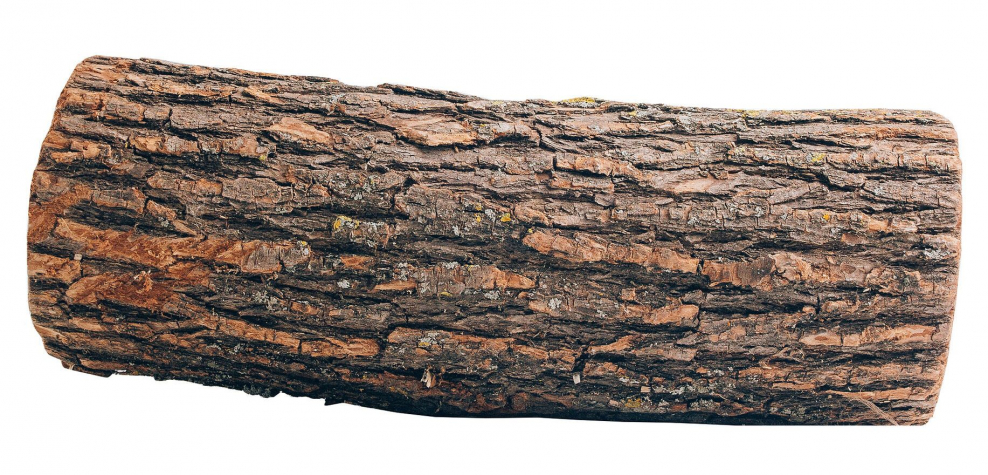 Бревно лежит