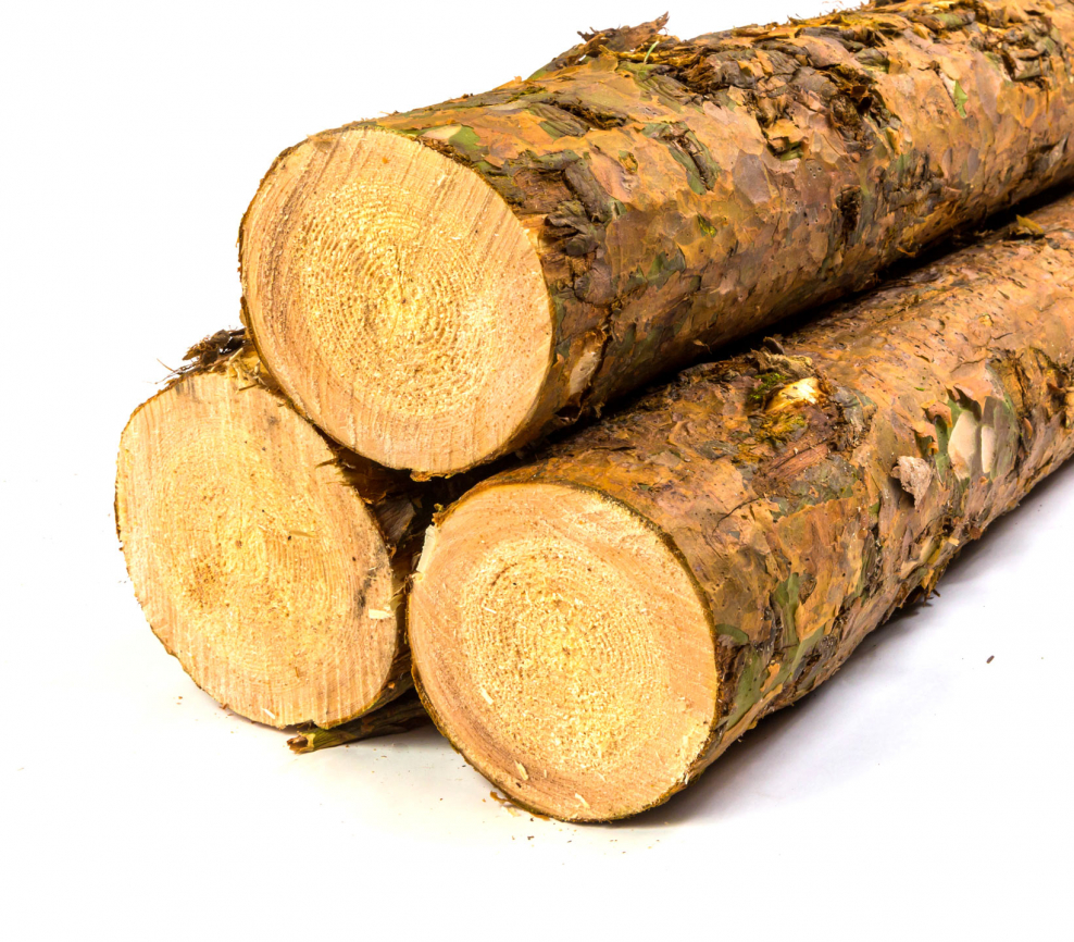 Бревно вектор